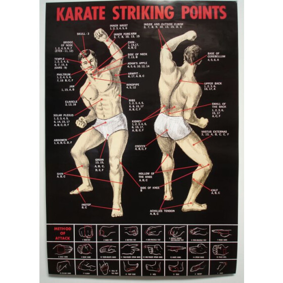 Karate Poster Striking Points Wirkungspunkte