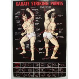 Karate Poster Striking Points Wirkungspunkte